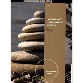 Principles of Organizational Behavior, International Edition