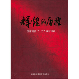 辉煌的历程