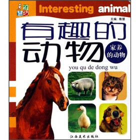 有趣的动物：家养的动物