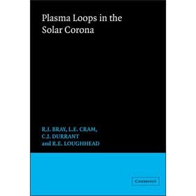 Plasma Loops in the Solar Corona