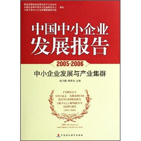 中国中小企业发展报告（2005-2006中小企业发展与产业集群）