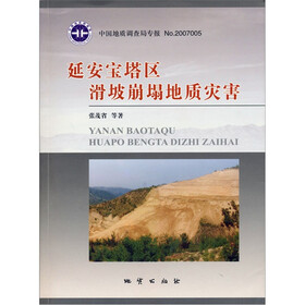 延安宝塔区滑坡崩塌地质灾害