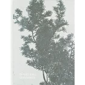 Zhang Enli: Container