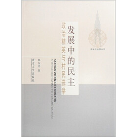 发展中的民主：政治精英与村民选举