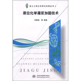 岩土工程化学原位加固丛书.3：原位化学灌浆加固技术