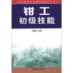 农村劳动力转移技能培训丛书：钳工初级技能