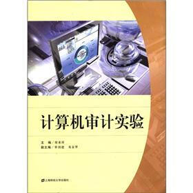 计算机审计实验