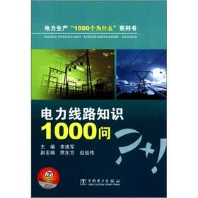 电力生产“1000个为什么”系列书:电力线路知识1000问