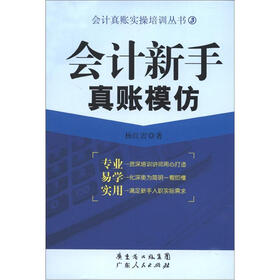 会计真账实操培训丛书（3）：会计新手真账模仿