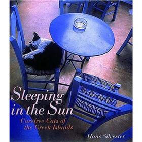 SLEEPING IN THE SUN