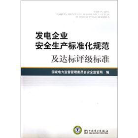 发电企业安全生产标准化规范及达标评级标准