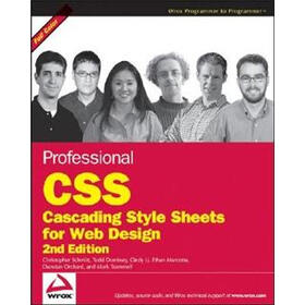 Professional CSS: Cascading Style Sheets for Web Design (Wrox Professional Guides)