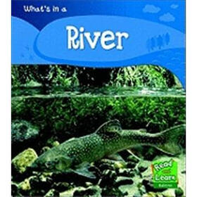 What is a River?