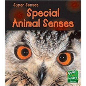 Animal Senses