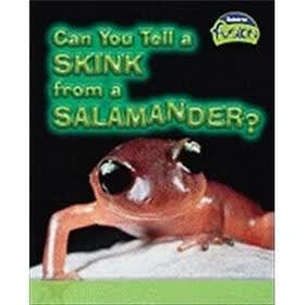Can you Tell a Skink from a Salamander?