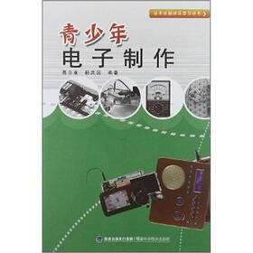 动手动脑快乐学习丛书：青少年电子制作