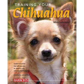 Training Your Chihuahua (Training Your Dog)