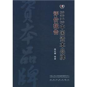 2012中国资本品牌评价报告