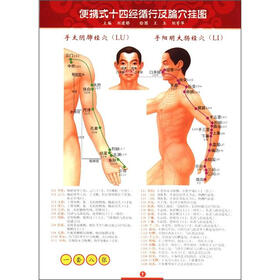 便携式十四经循行及腧穴挂图