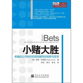 小赌大胜：卓越的公司如何实现突破性的创新与变革
