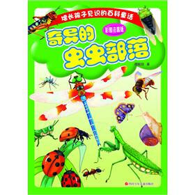 增长孩子见识的百科童话：奇异的虫虫部落（彩图注音版）