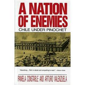 A Nation of Enemies: Chile Under Pinochet