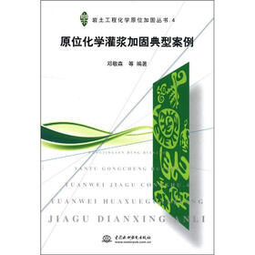 岩土工程化学原位加固丛书（4）：原位化学灌浆加固典型案例