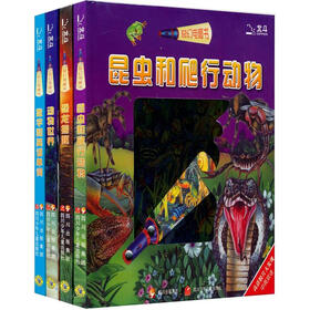 奇幻电筒书（套装共4册）