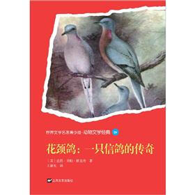 花颈鸽：一只信鸽的传奇
