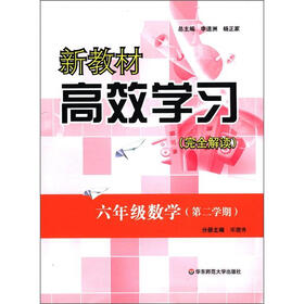 新教材高效学习完全解读:6年级数学(第2学期)