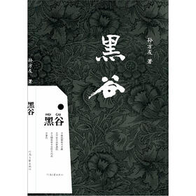 《黑谷》(孙方友)【摘要 书评 试读】- 京东图书