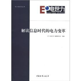 电力信息化丛书：解读信息时代的电力变革