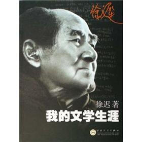 我的文学生涯