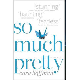 So Much Pretty: A Novel