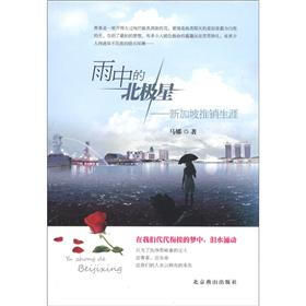 雨中的北极星：新加坡推销生涯