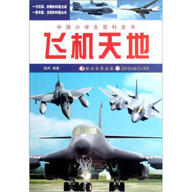 中国小学生百科全书：飞机天地