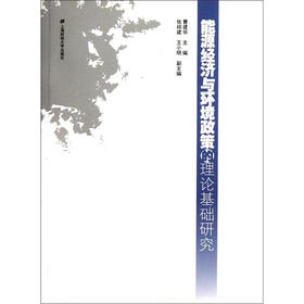 能源经济与环境政策的理论基础研究