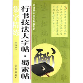 中国书法技法基础教程·行书技法大字帖：蜀素贴