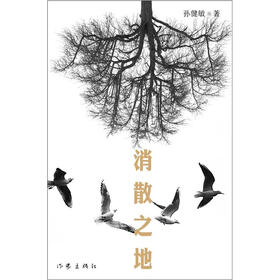 消散之地