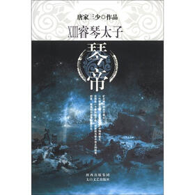 琴帝13：睿琴太子