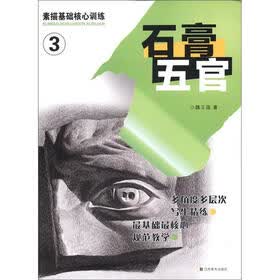 素描基础核心训练（3）：石膏五官