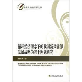 中青年经济学家文库：循环经济理念下的我国新兴能源发展战略的若干问题研究