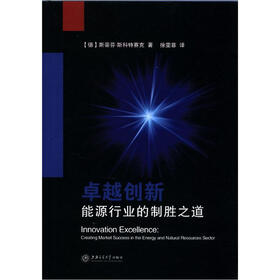 卓越创新：能源行业的制胜之道