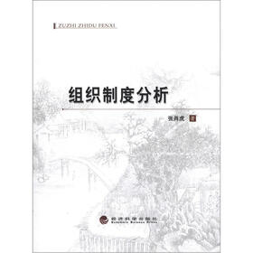 组织制度分析