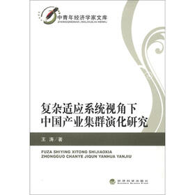 中青年经济学家文库：复杂适应系统视角下中国产业集群演化研究