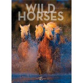 Wild Horses (Pets & Wildlife)