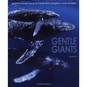 Gentle Giants: An Emotional Face to Face with Dolphins and Whales