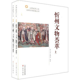 山西省第三次全国文物普查丛书：忻州文物集萃（套装上下册）