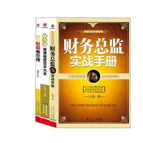 财务总监案头必备（套装共3册）