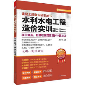 建设工程造价实训丛书：水利水电工程造价实训